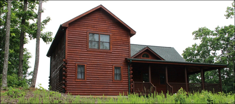 Professional Log Home Borate Application  Madison County, Virginia